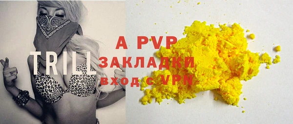 стаф Абаза